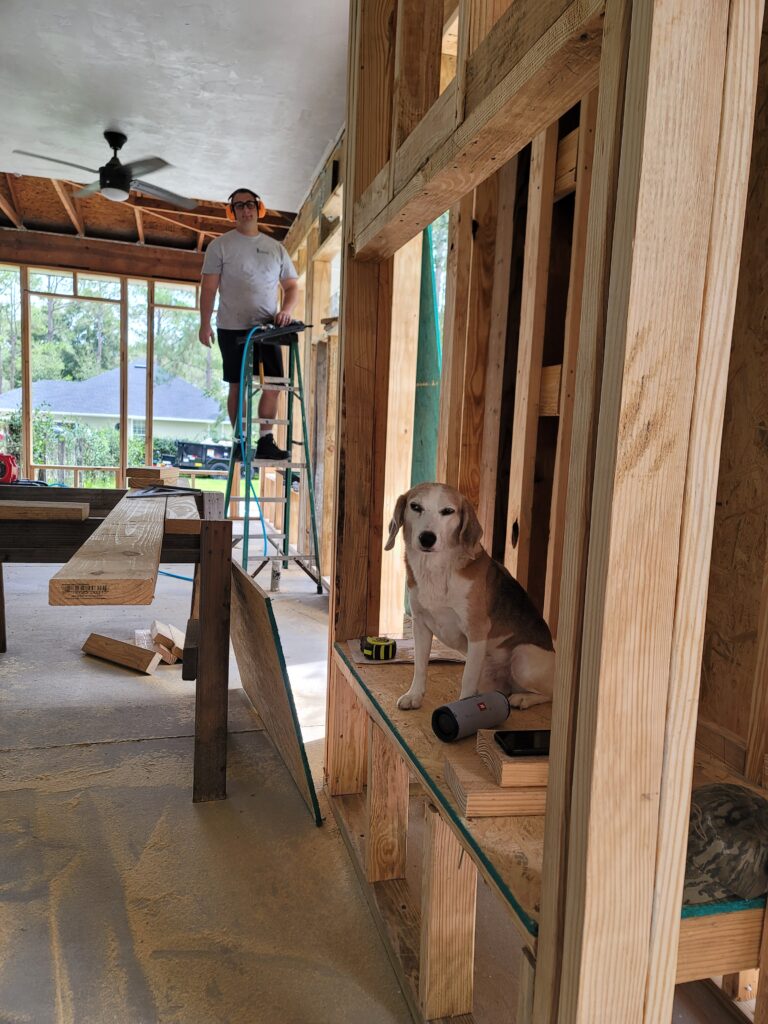 dog in construction site