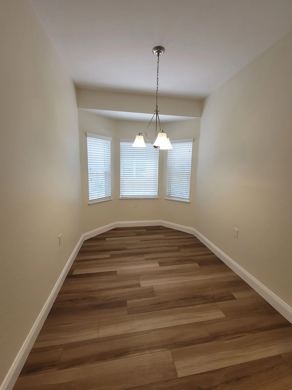 Empty room with wood floor and ceiling light